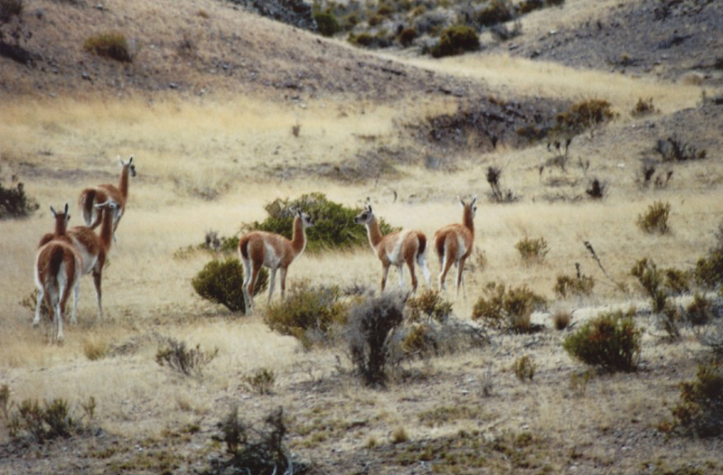Cabo_Dos_Bahias_04_01