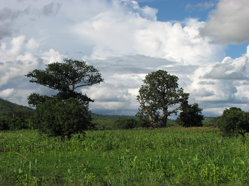Bobo-Ouaga_03