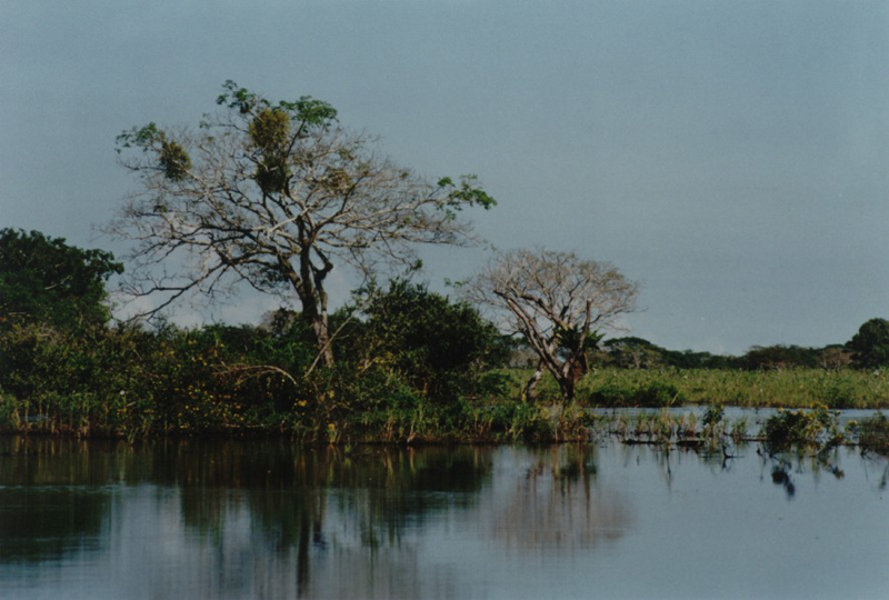 Rurrenabaque_8