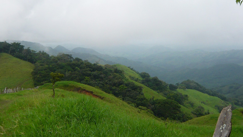 Monteverde_05