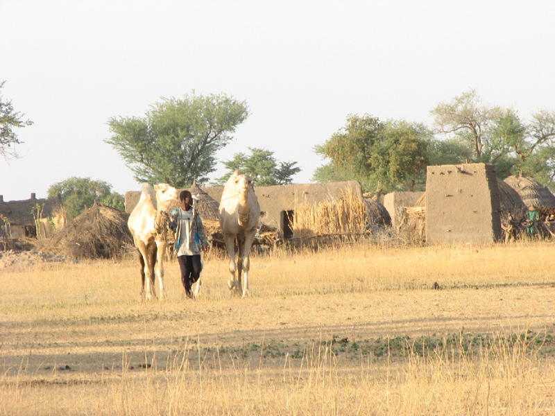 Pays_Dogons_03