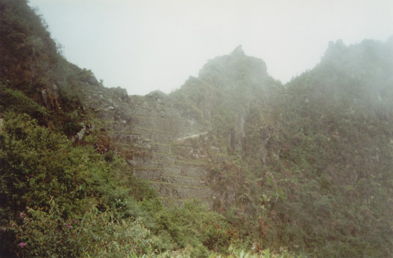 Machu_Pichu_03_08